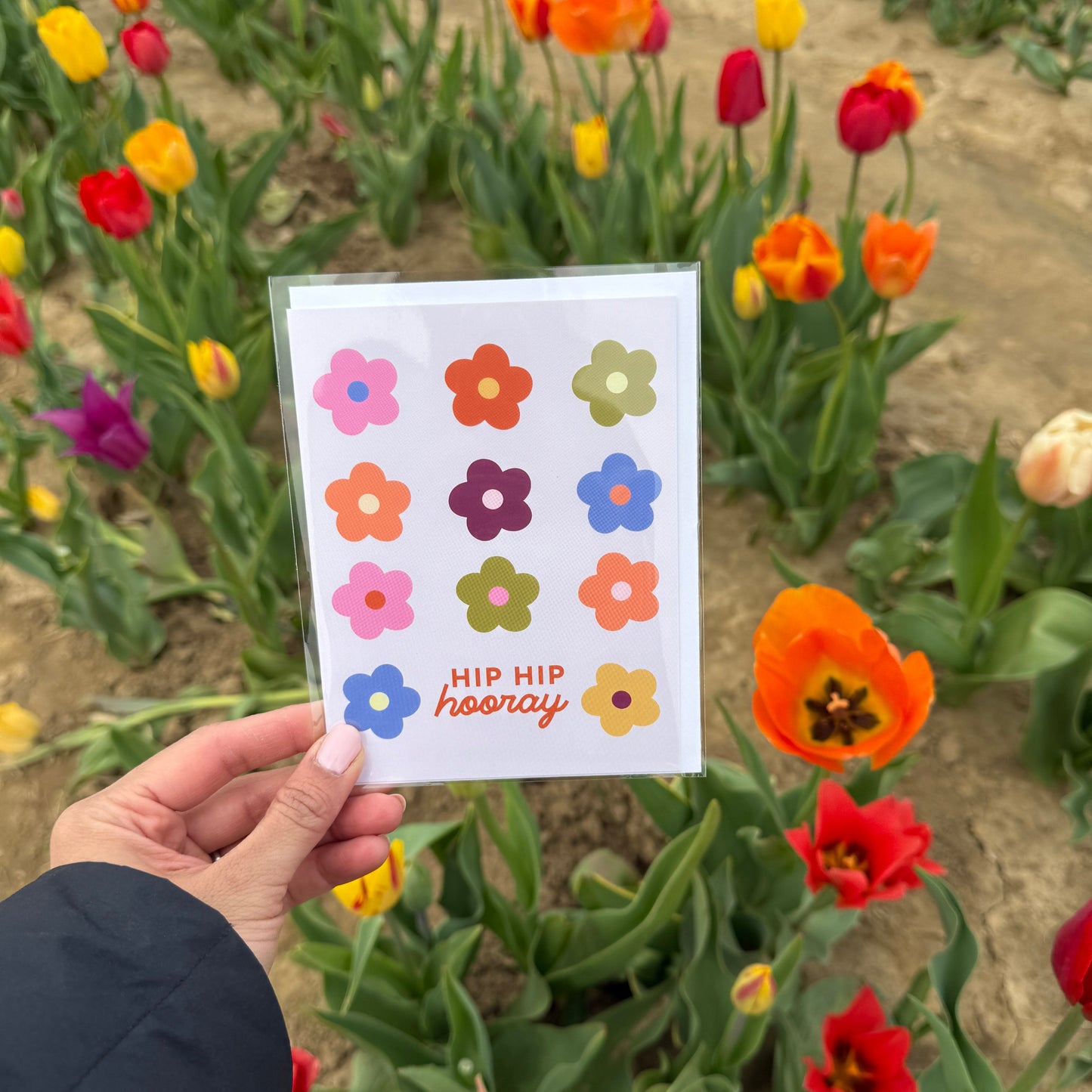 Hip Hip Hooray Greeting Card