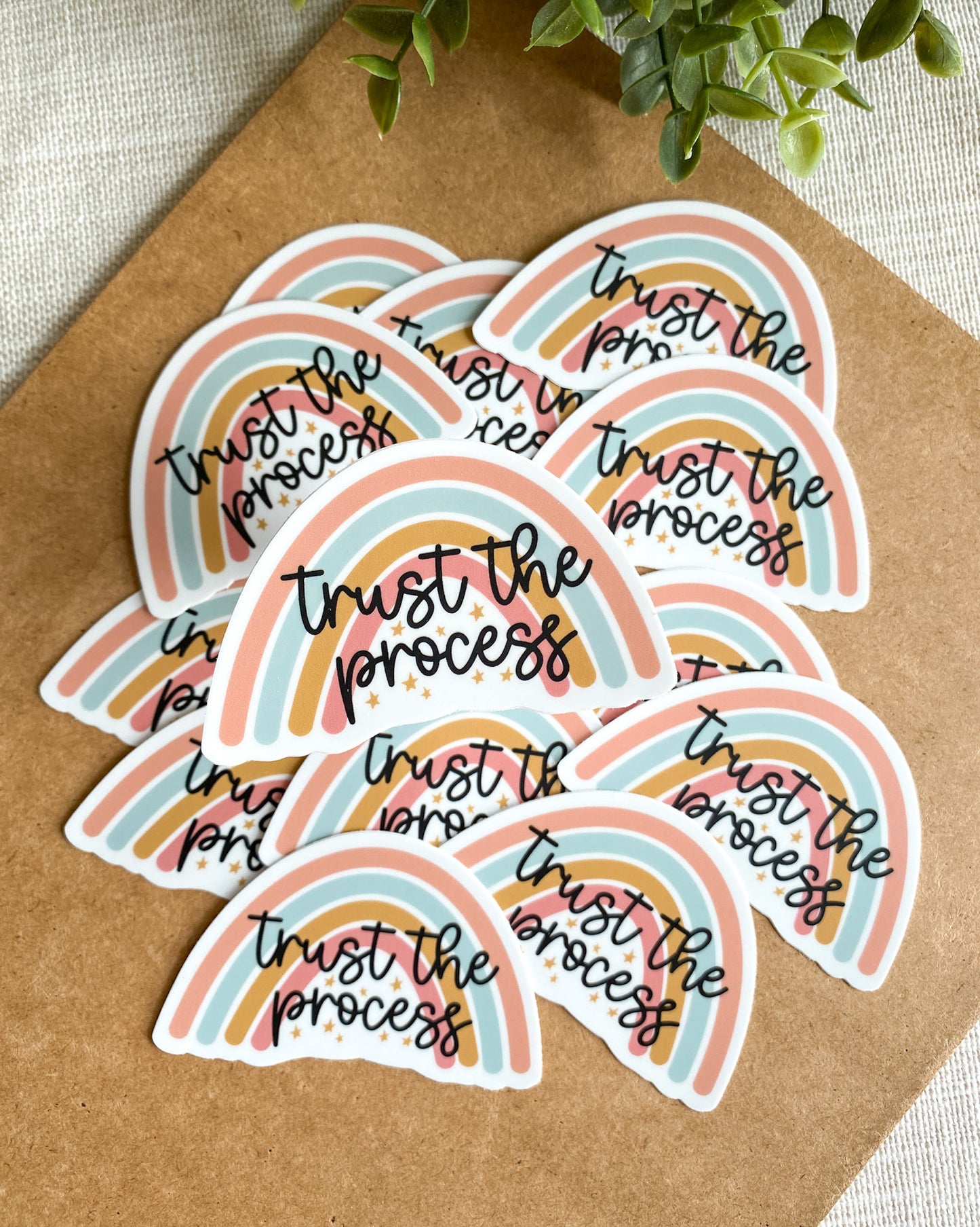 Trust the Process Sticker