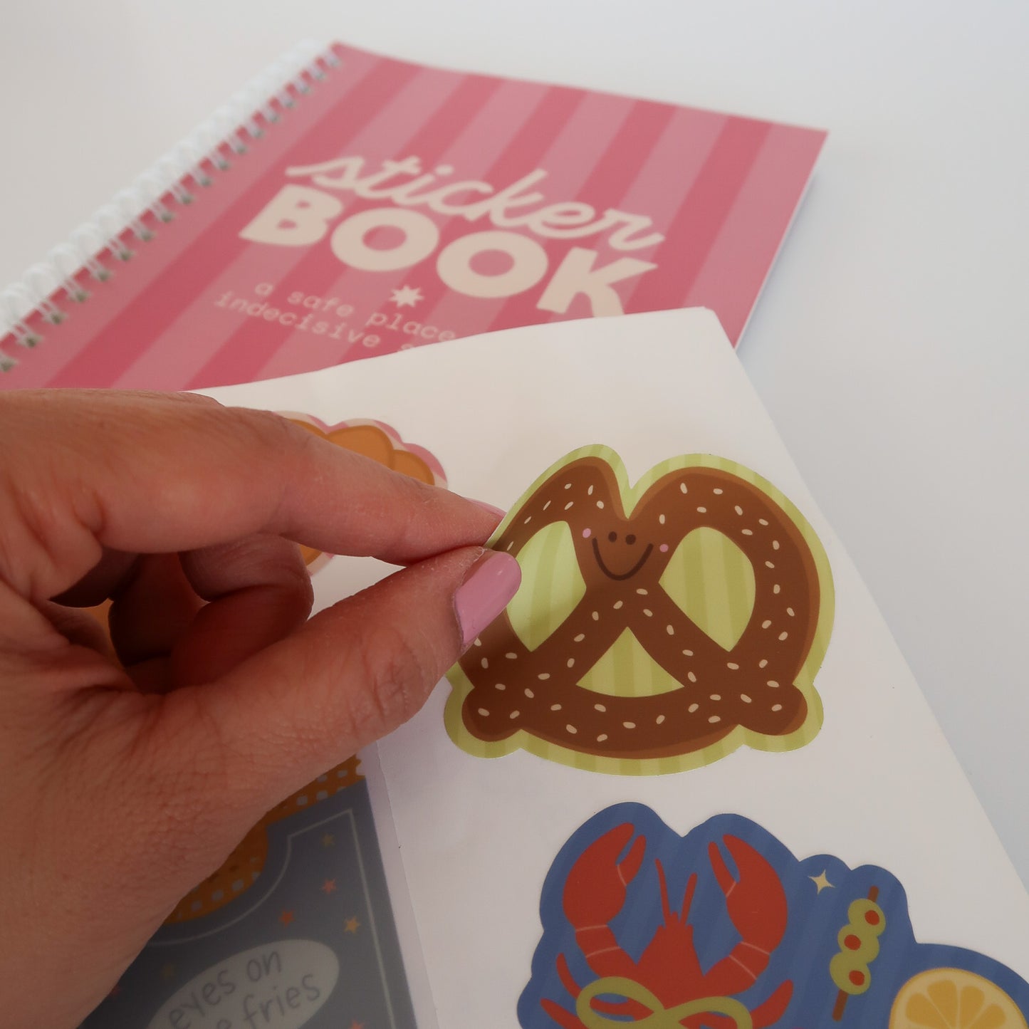 Sticker Storage Book