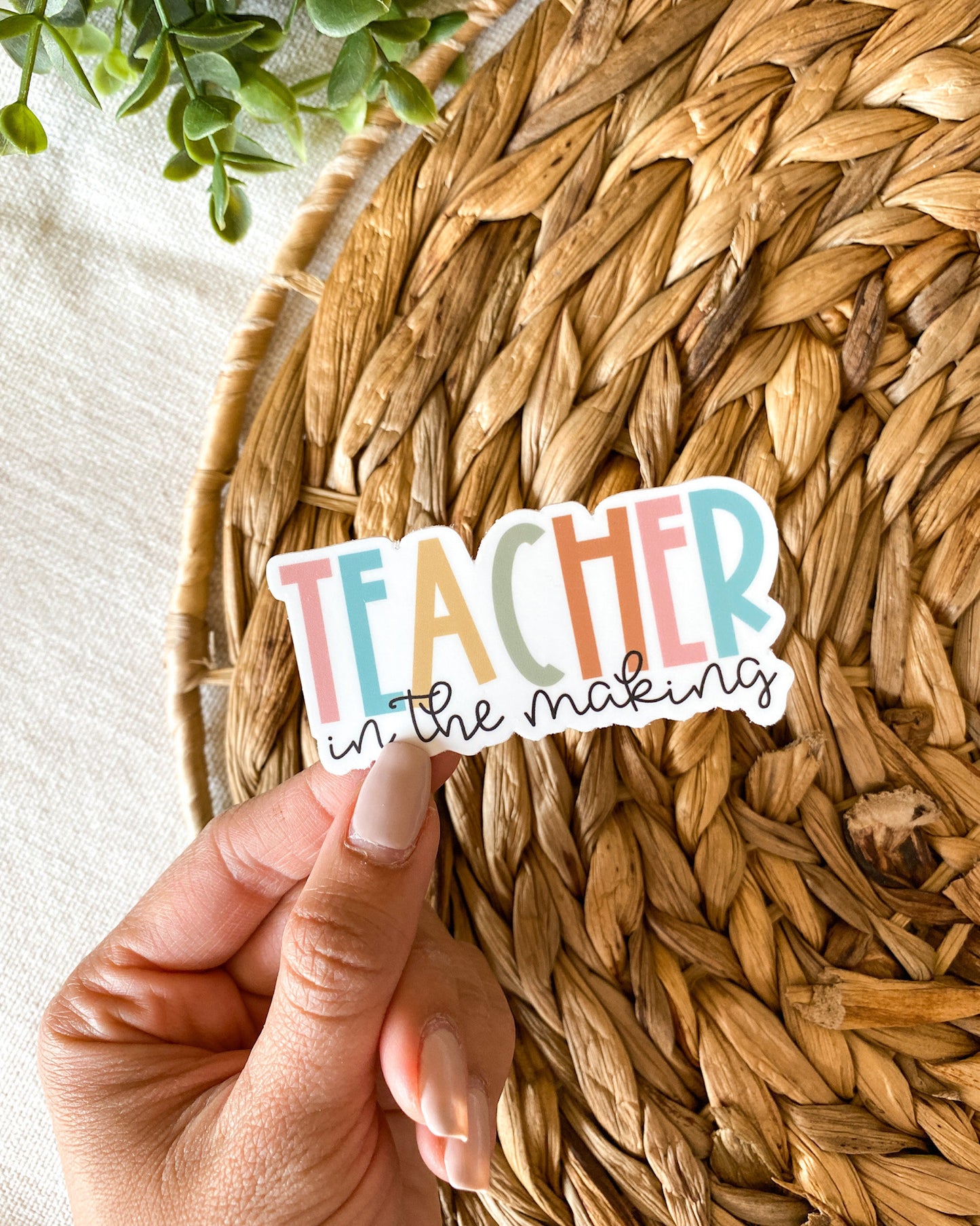 Teacher in the Making Sticker